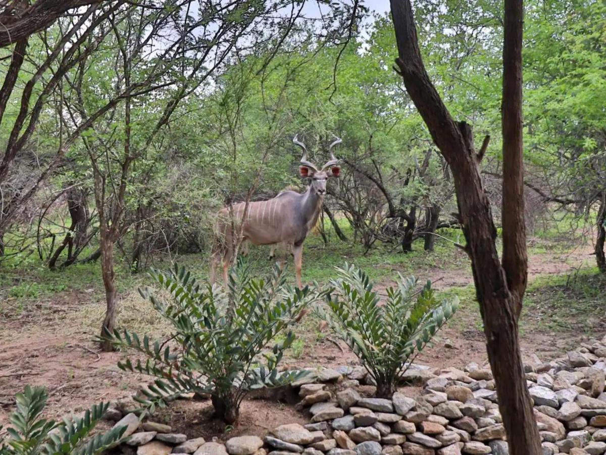 Chelesa By Kruger Nights Apartment Marloth Park Exterior photo